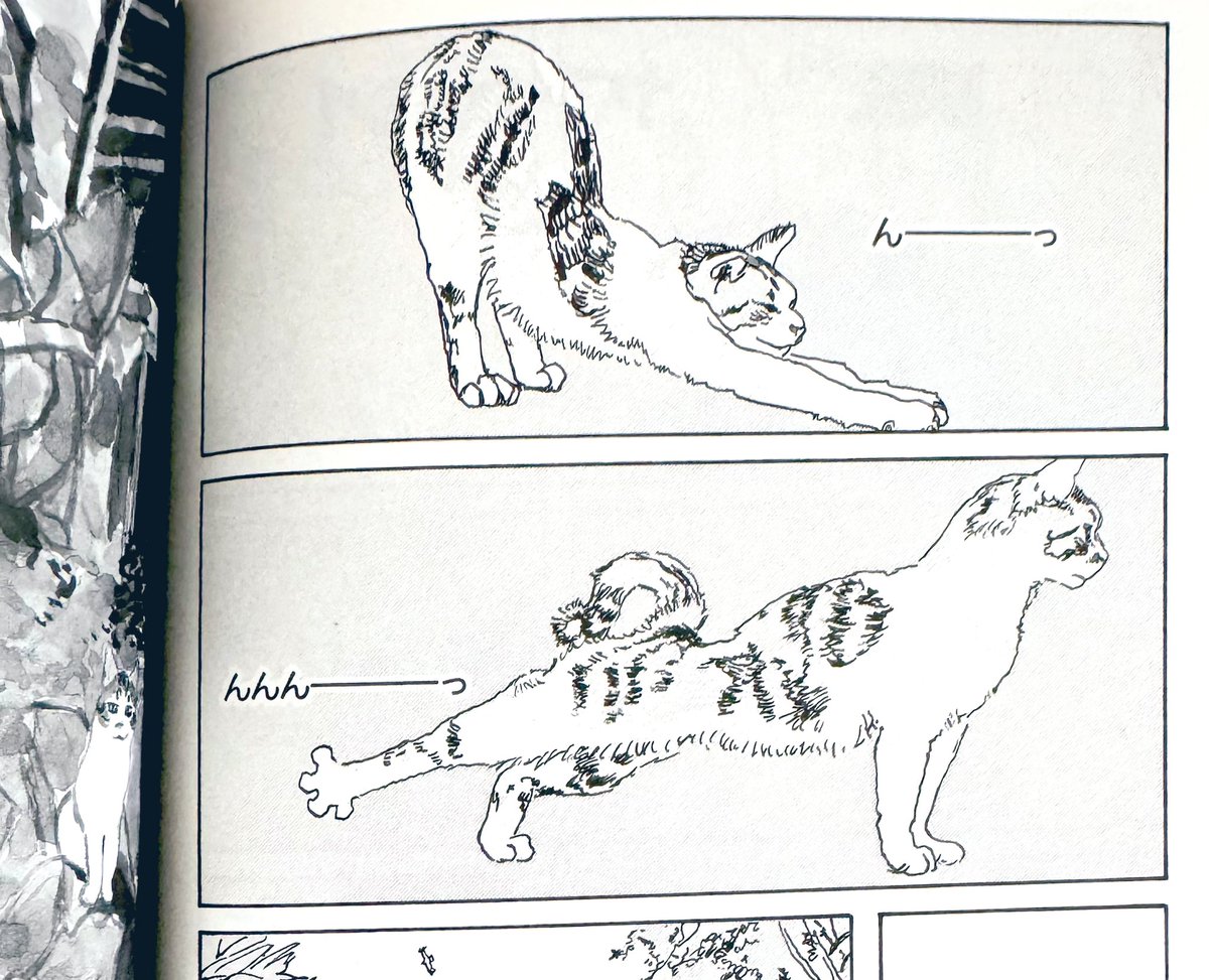 巡回中の 絵本『ねこまがたけ』原画展 にちなみ五十嵐の猫作品をご紹介。

その1 『カボチャの冒険』
https://t.co/wMJwlfMVhM
山の小さな集落で猫と暮らしたエッセイ漫画。リスや蛇と対決する猫の"カボチャ"に振り回されっぱなしです。
#カボチャの冒険
#ねこまがたけ 