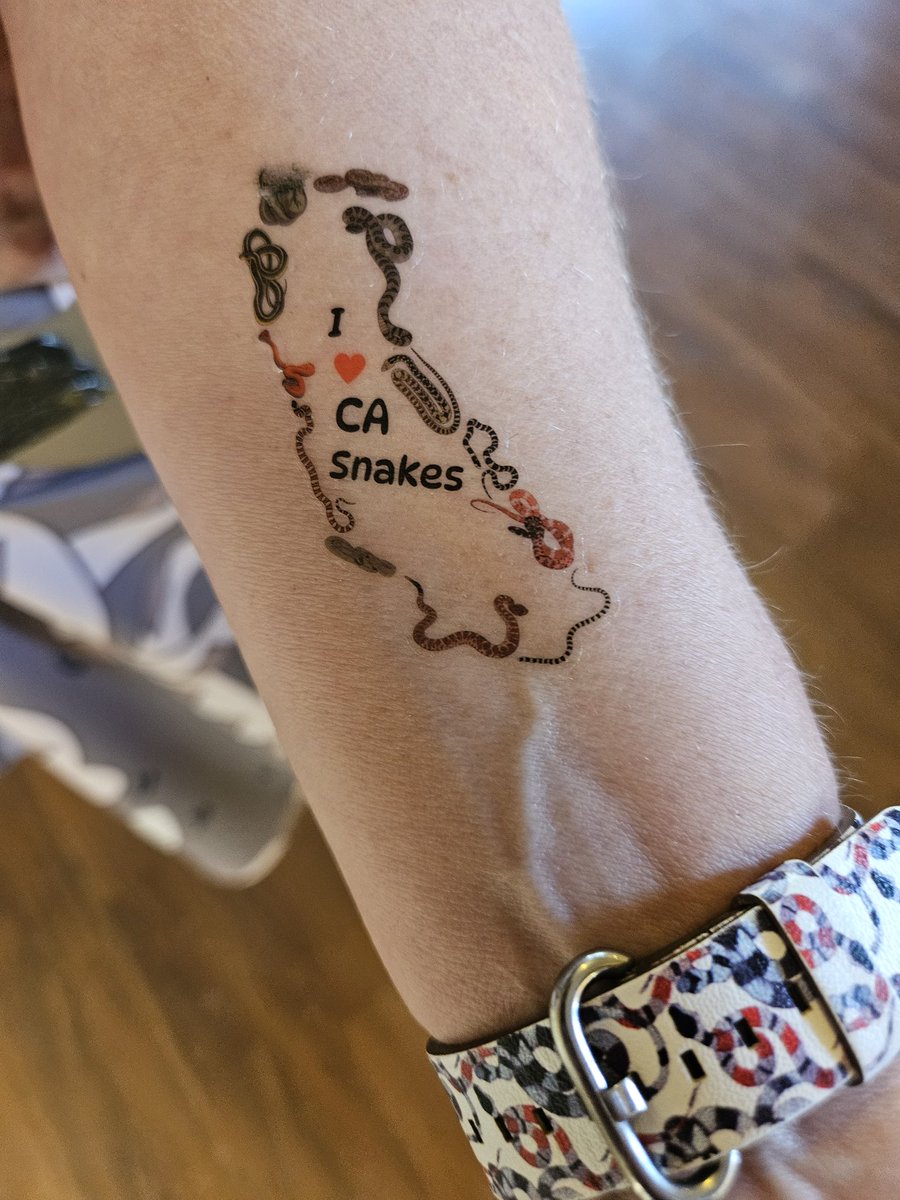 Why, yes, I did make temporary tattoos to celebrate my book's publication! 🎉