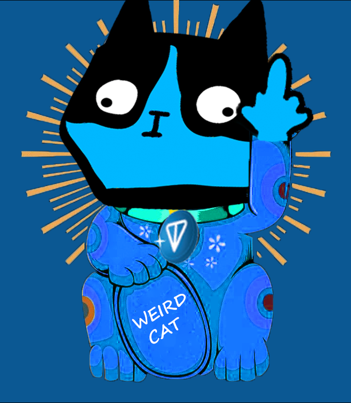 Weird Cat tweet media
