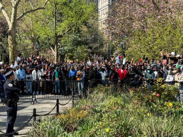 Roughly 1,300 African migrants gathered outside New York City Hall on Tuesday over what some believed were promises of a green card or work visa if they appeared “Only 250 people were allowed inside for the 10 a.m. hearing, while the hundreds of others who flocked downtown were