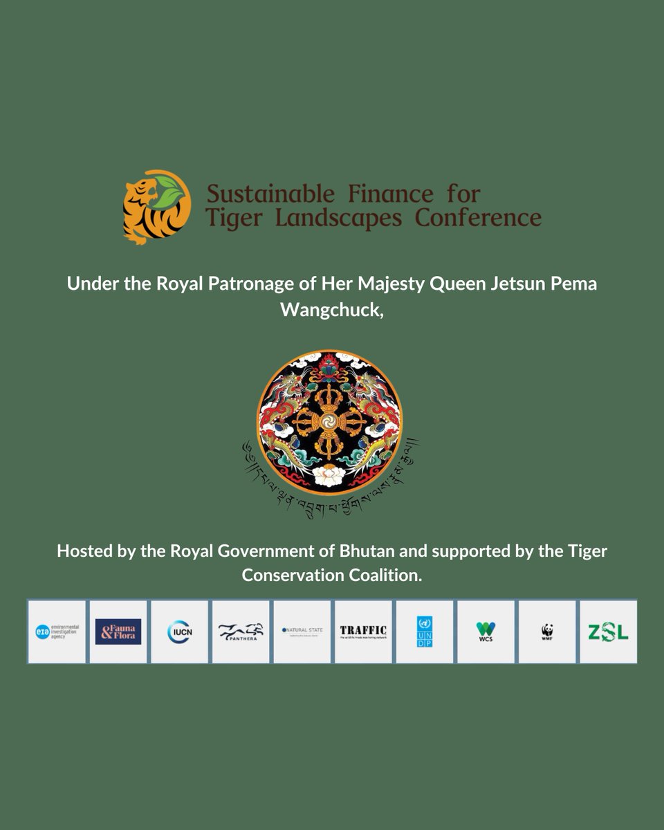 Here are 3 reasons why sustainable financing for tiger landscapes is so important 👇 The boom-bust project cycle hinders impact at scale. Tiger conservation is landscape conservation and takes time. Read more here: tigers.panda.org/news_and_stori… #investintigers #tigerfinance