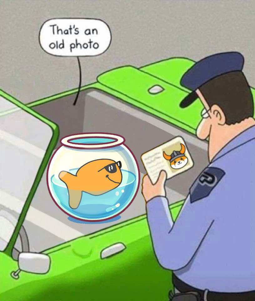 Eric the Goldfish tweet media
