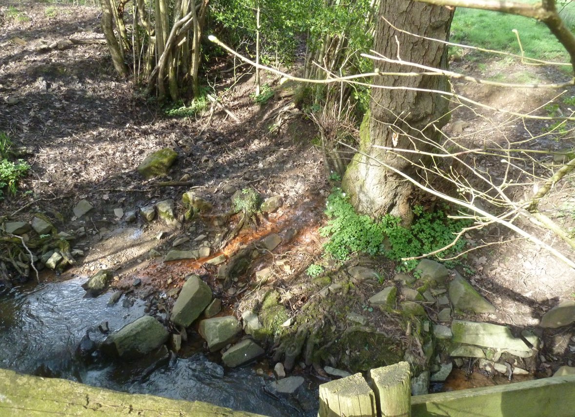 Izzy Bishop 🏳️‍🌈 tweet media