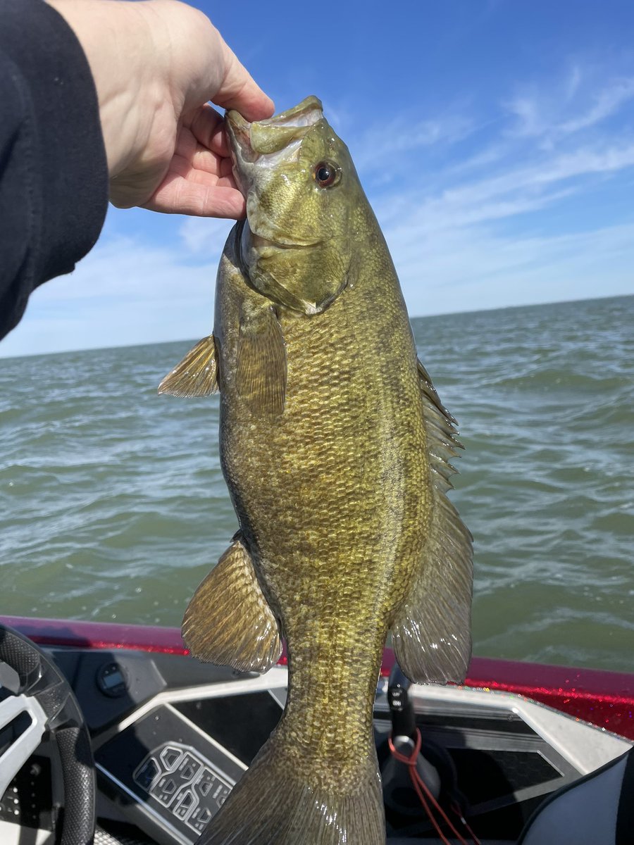 First of the season!!!