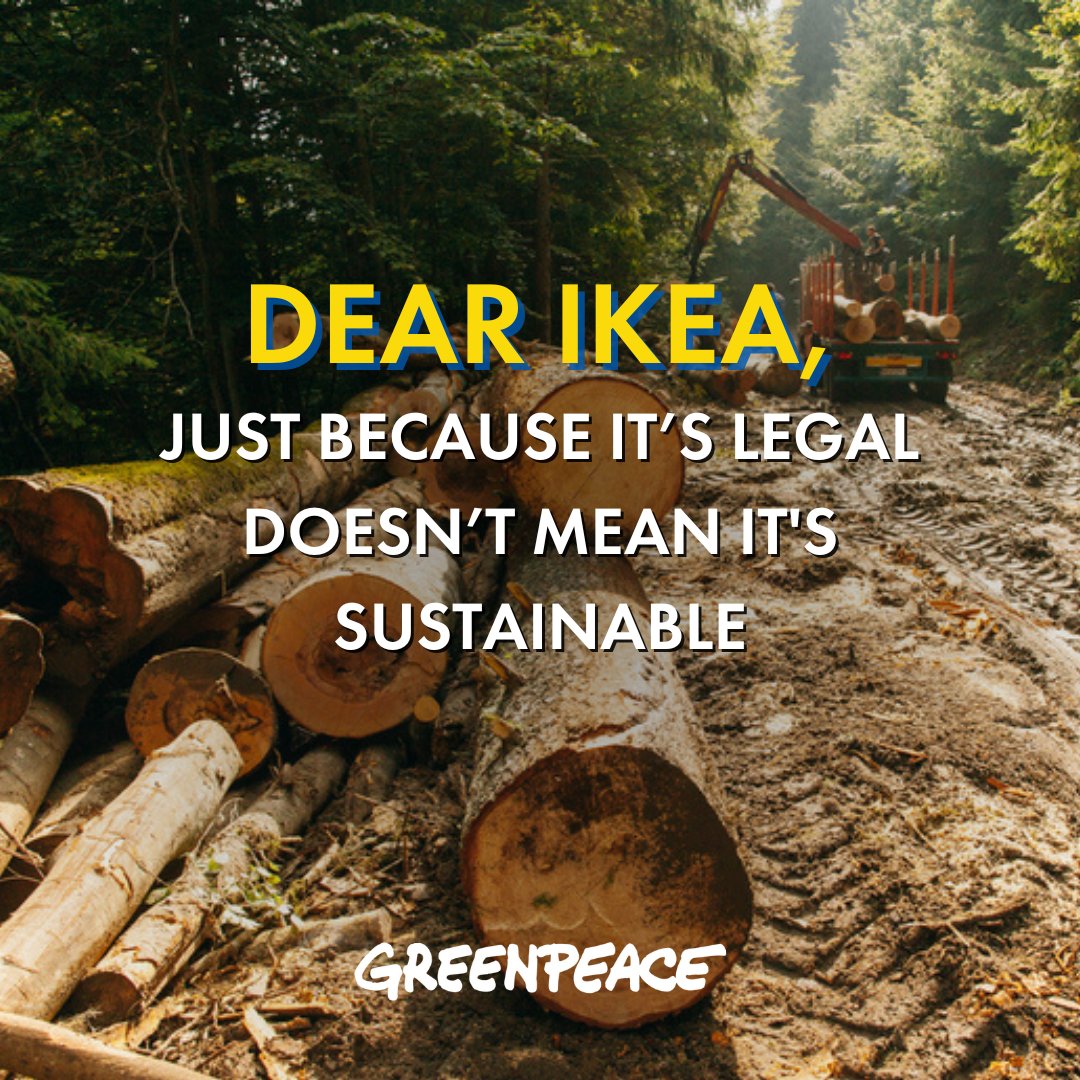 Greenpeace's tweet photo. A message for @IKEA 👇

‼️ clean up your supply chains ‼️

Stop hiding behind a certification system that clearly does not protect old-growth forests. Become a pioneer in their protection.

Sign the open letter to #IKEA's CEO✍️ https://t.co/ZV4SF2mpO0 https://t.co/lOWKacSUli