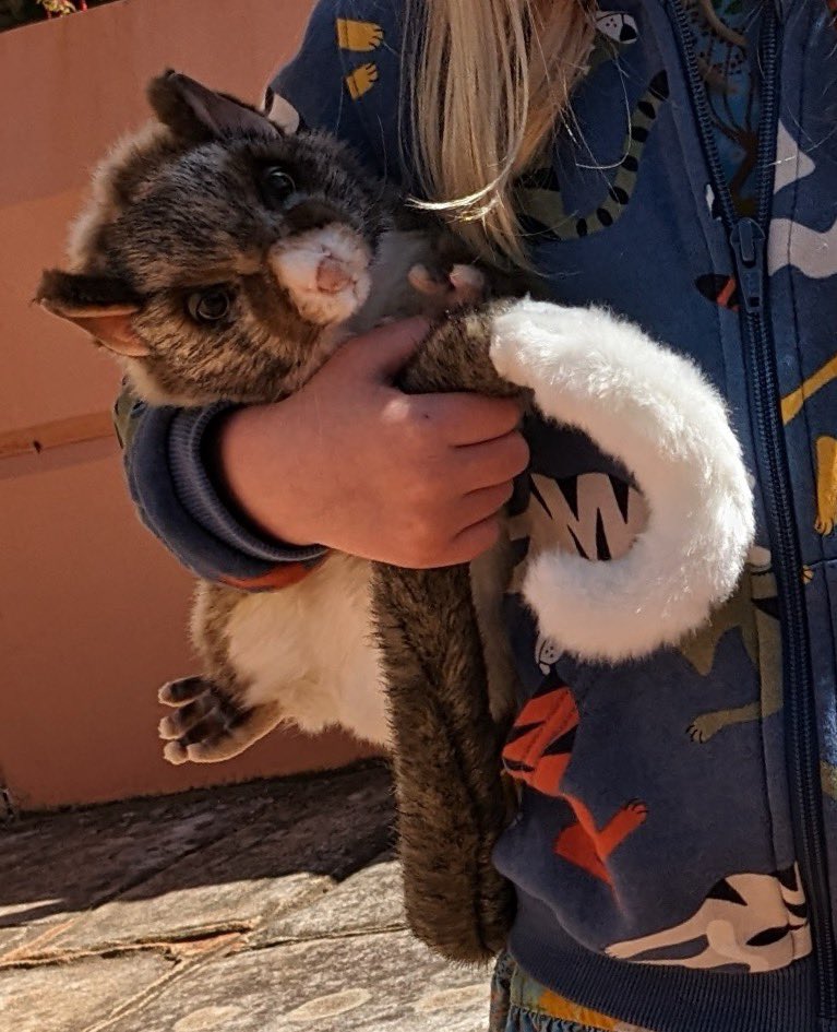 #Melbourne Much loved possum puppet lost this afternoon at Royal Park Nature Play. We’ve checked back a few times so someone has probably taken home for safe keeping, but there’s a distraught kid hoping to see her possum again.