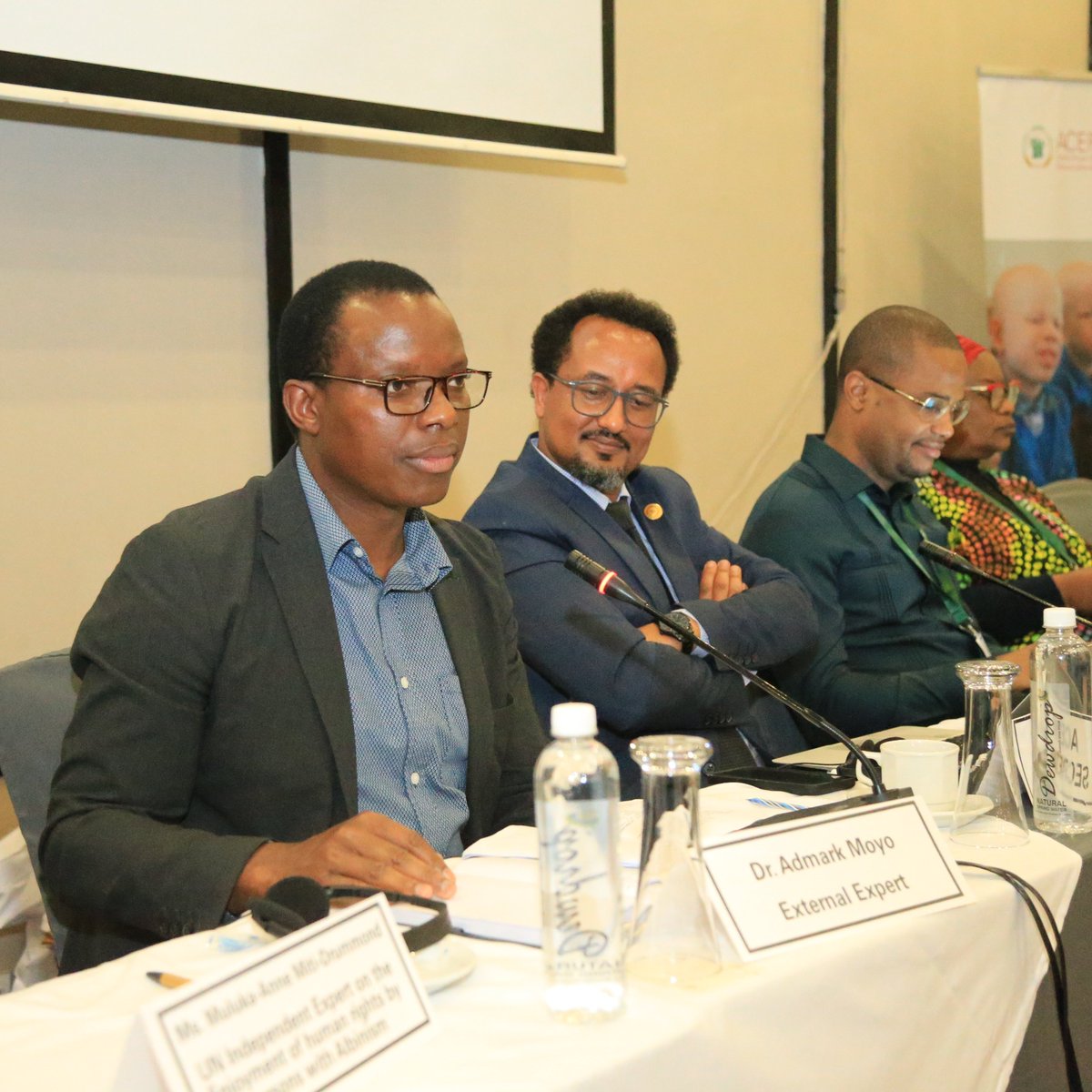 Day of General Discussion: Panel III: Reviewing protections for children with albinism under regional and international human rights instrument. This panel is moderated by Dr. Admark Moyo, External Expert of the Working Group on the Rights of Children with Disabilities.