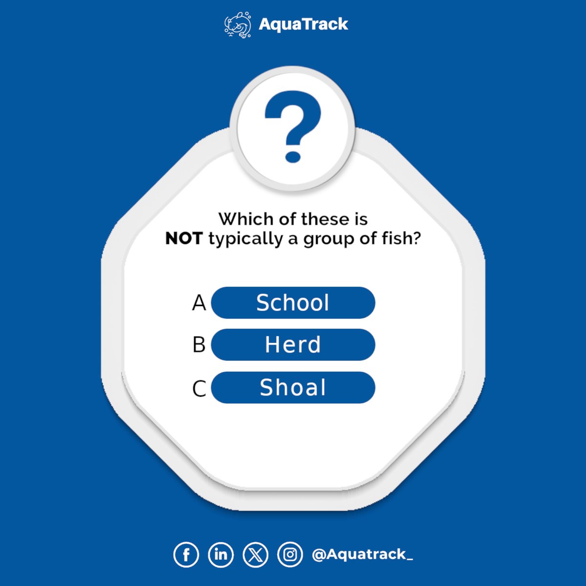 Aquatrack_'s tweet photo. Test your fish knowledge! Can you spot the odd one out? #FishFact #Aquatrack https://t.co/ufeml29qYv
