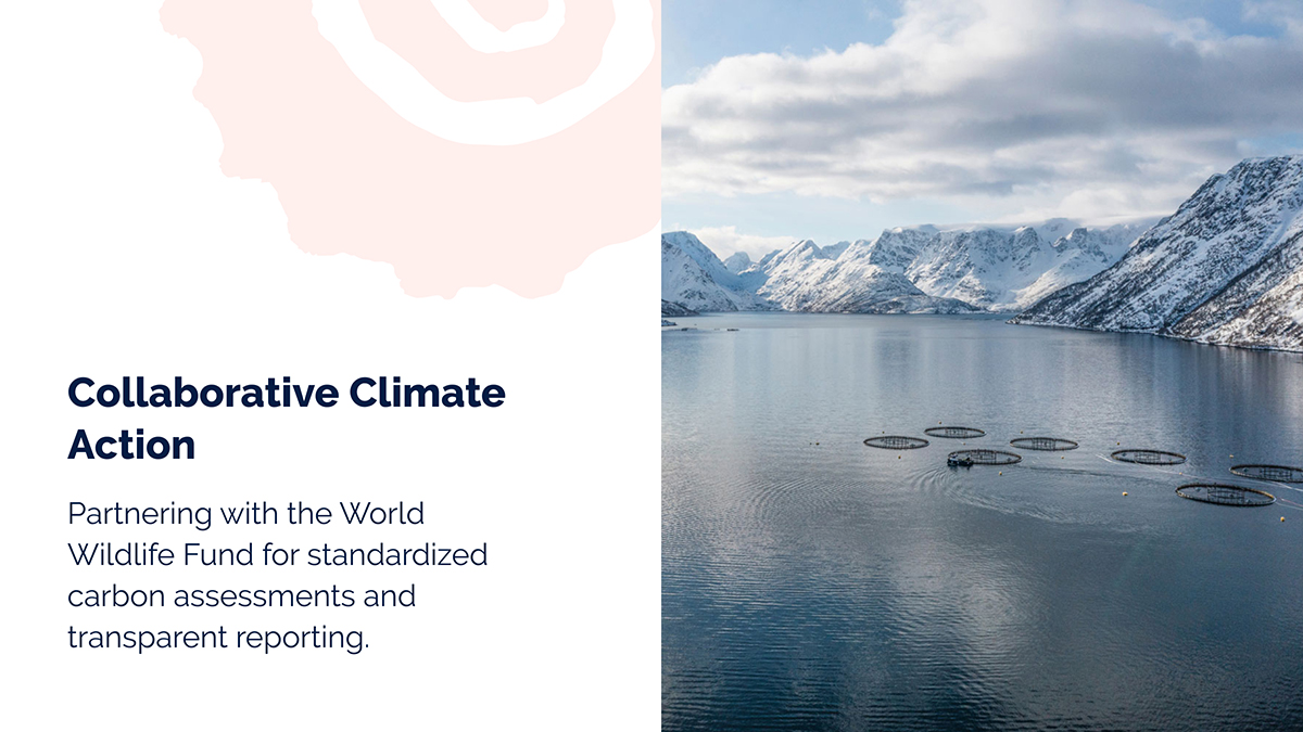 Collaborative Climate Action: partnering with the World Wildlife Fund for standardized carbon assessments and transparent reporting.