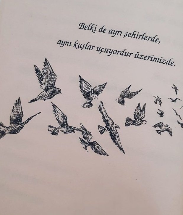 Gökyüzümüz 1' 🖤 Bir rüzgar gelir ve ben bilirim... SeN'den dir 🤍