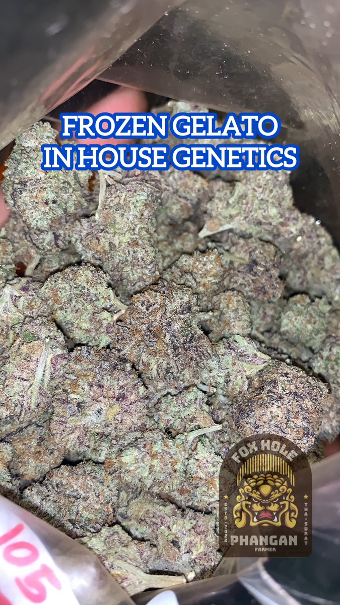 OldSchoolManz's tweet photo. 130/G🔥
🚨5GFreeShipping🚨
#HomeGrow #FoxHole2022 https://t.co/dQYAbmOm7Z