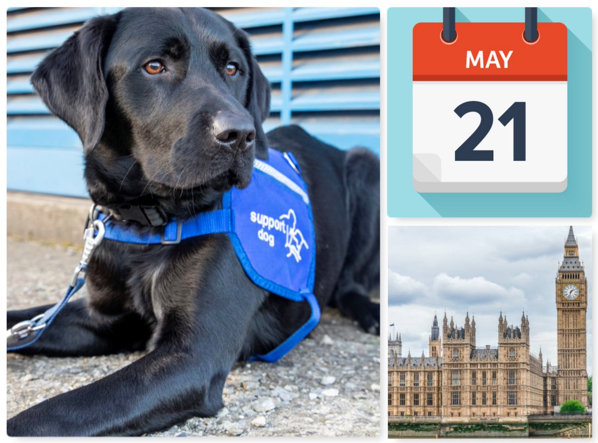 SAVE THE DATE: Next @APDAWG1 meeting will take place on Tues 21 May in @UKParliament. Full details, speakers, timings & celeb co-host will be sent out in our free newsletter soon. If you're not already signed up, please subscribe on our homepage: apdawg.co.uk #APDAWG