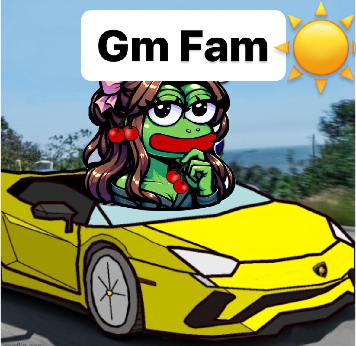 GM Fam🍒🐸

$CRYP #SolanaMemecoin #pepecoin