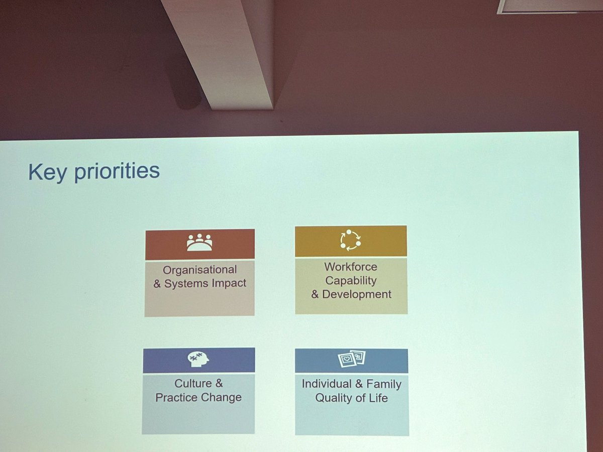 Key priorities HOPE(S) 
Training in rights based care
Culture and Practice change
Trauma informed family  support 
Helping families to navigate the system and getting to know the person in segregation 
Supporting the person & building a therapeutic relationship #PositiveandSafe