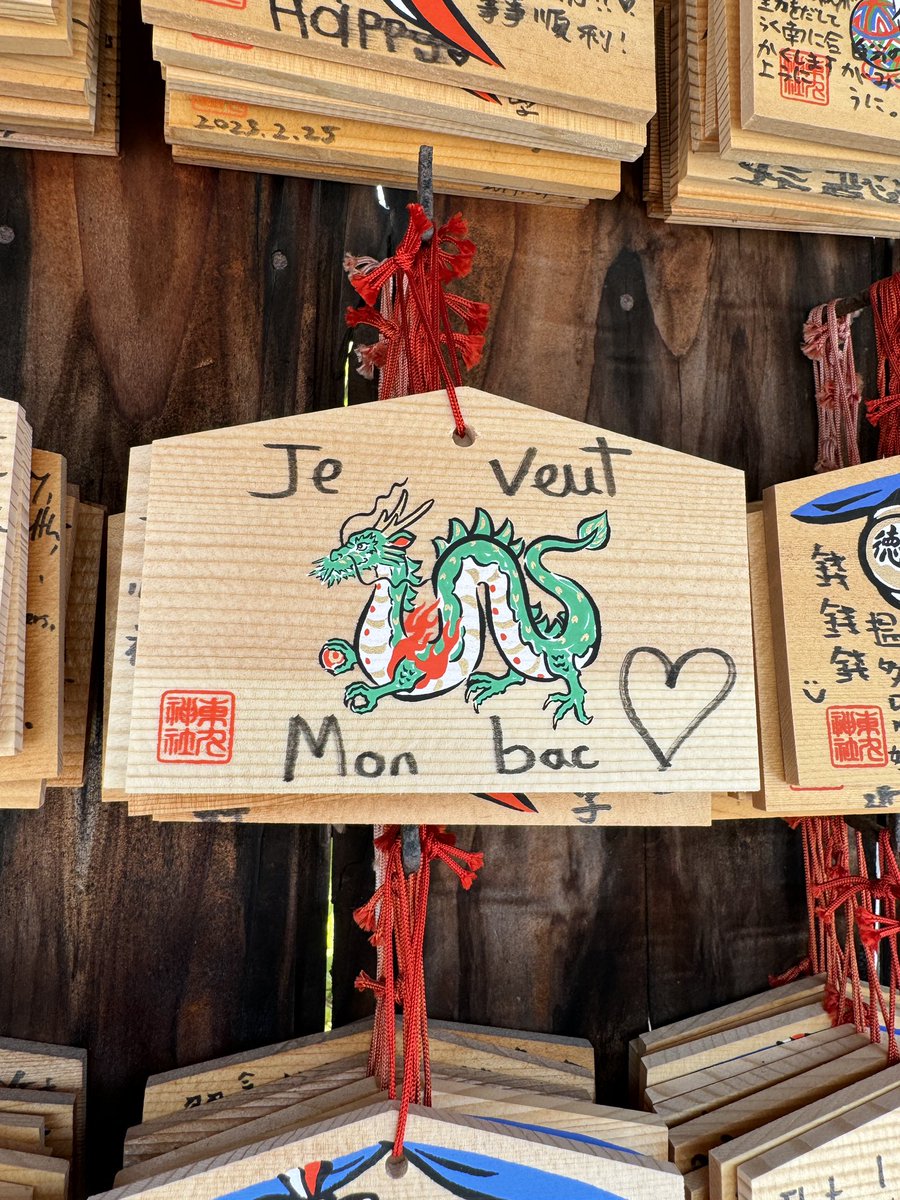 Christophe Rufin tweet media