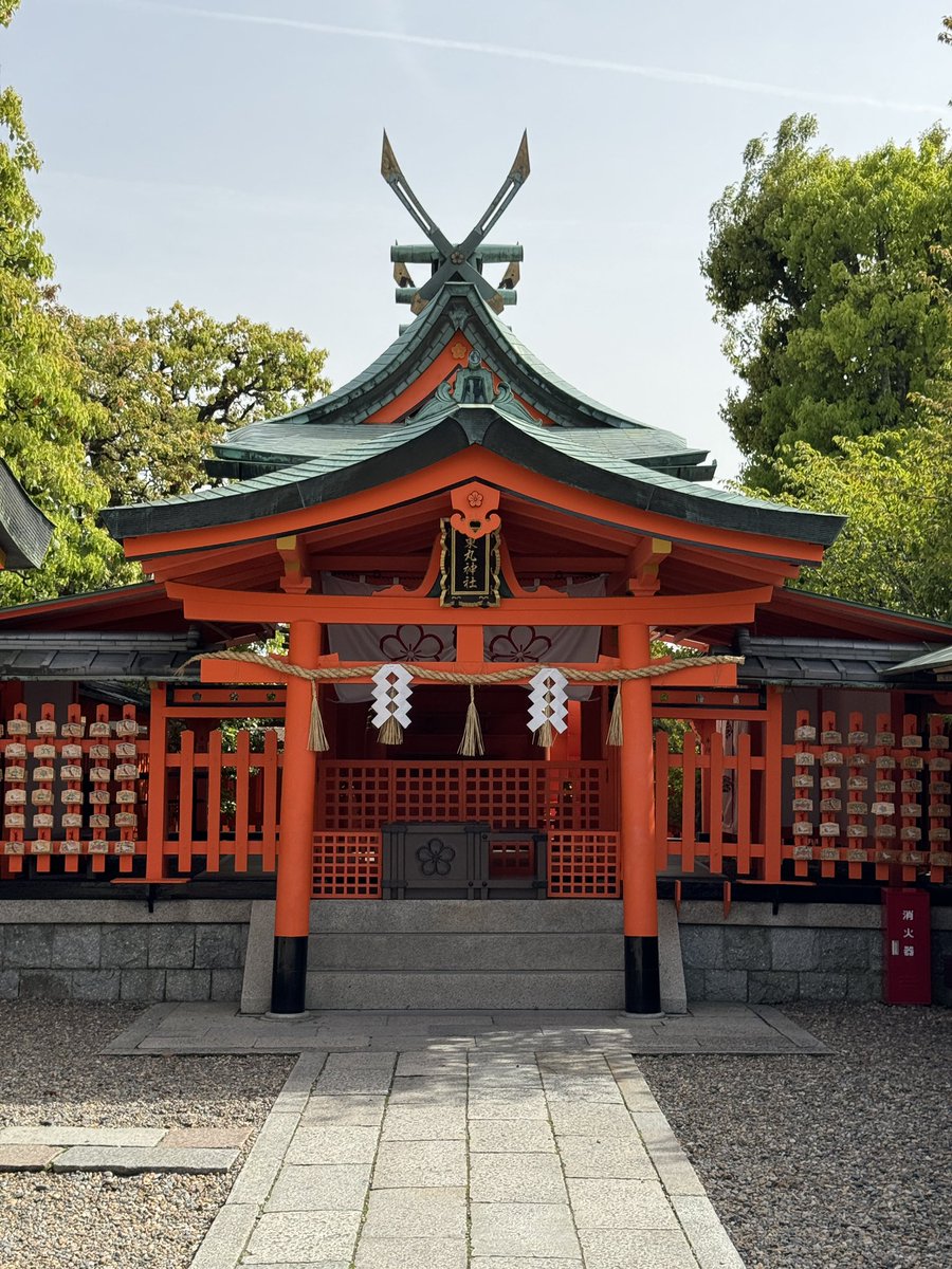 Christophe Rufin tweet media