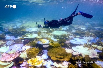 Photo taken on April 5, 2024, shows a marine biologist recording bleached and dead coral around Lizard Island on the Great Barrier Reef.