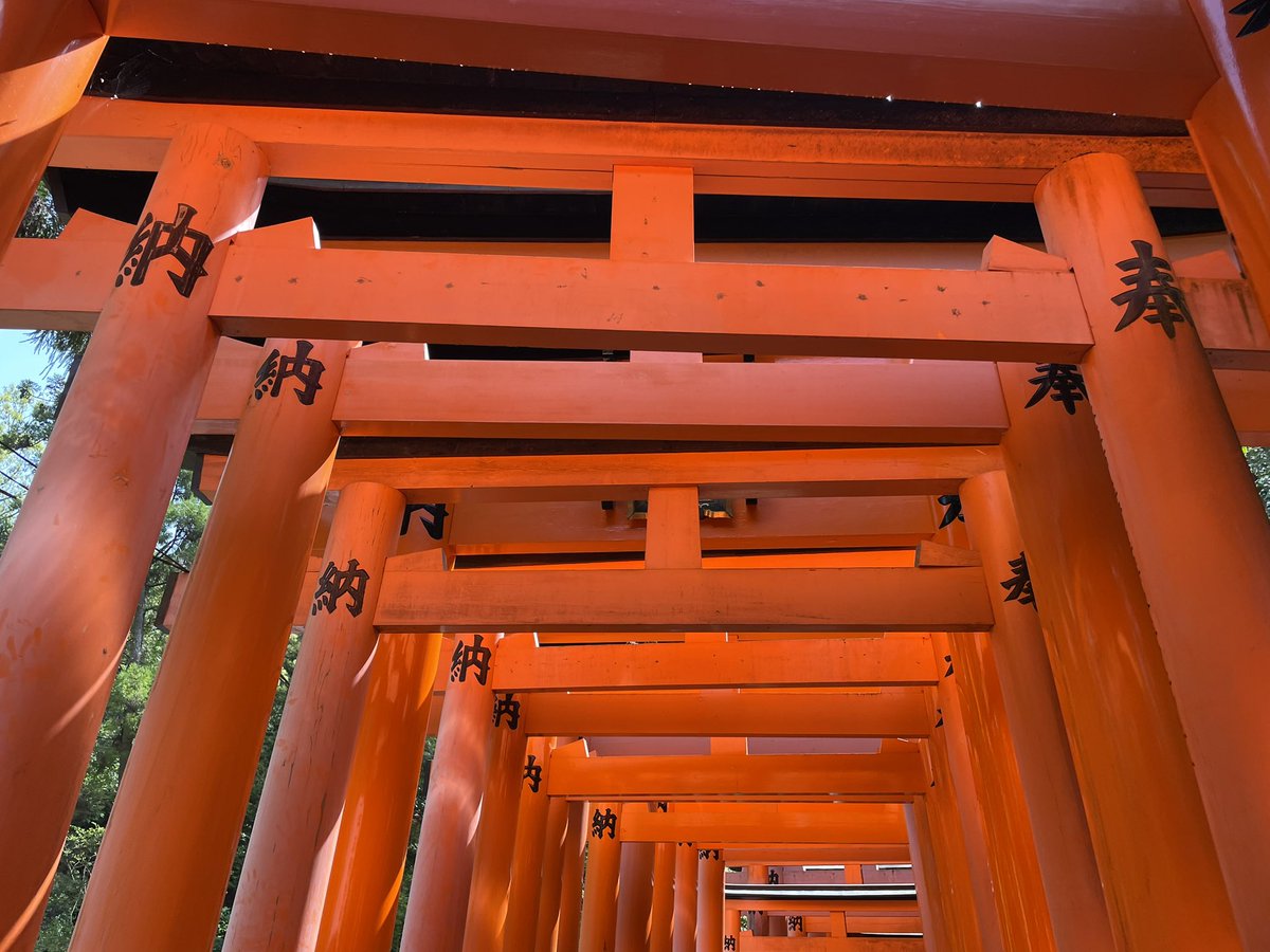 Japan is so beautiful 🇯🇵