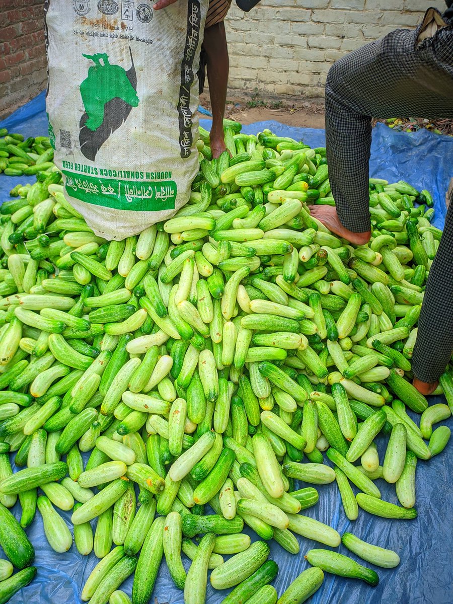 Let's Go $RICY 
<a href="/ricyofficial/">ricy</a> 
Participant The event
@SenderLabs farming $BEYOND <a href="/PlayGroundCorp/">PlayGround</a> ,   $PARAM <a href="/ParamLaboratory/">Param Labs</a>,   Earn $PIXIZ or <a href="/Pixiz_io/">Pixiz</a> @Explore <a href="/playsomo/">SOMO</a> and join the $SOMO  <a href="/PublicAi_/">PublicAI</a>  🔥 <a href="/Forge/">Forge</a> #Forge
<a href="/ShardsOfficial/">Shards Protocol ⚡️</a>  $SHARDS $XTER
