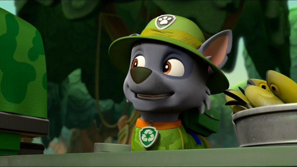 ♻️💚 Daily Rocky 💚♻️
April 17 2024

#PAWPatrol #Rocky
#DailyPics