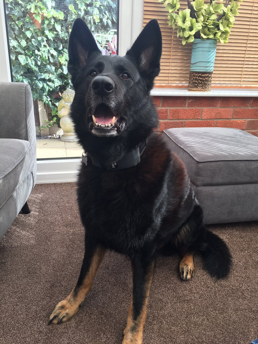 RPD_Logan tweet media