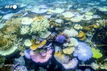 Photo taken on April 5, 2024, shows bleached and dead coral around Lizard Island on the Great Barrier Reef, 270 kms (167 miles) north of the city of Cairns.