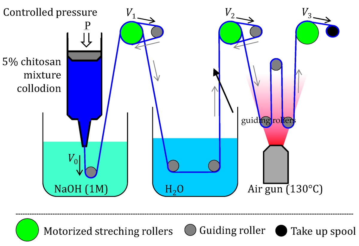 🌟#notablepaper on the Topic of Chitosan Nanoparticles 🔗mdpi.com/1605234 👨‍🔬By Prof. Anayancy Osorio-Madrazo et al @MDPIOpenAccess @MDPIBiologySubj #Chitosan #Nanoparticles #fiberspinning #crystallinity #shortpolymerchains #polysaccharide #textileapplications