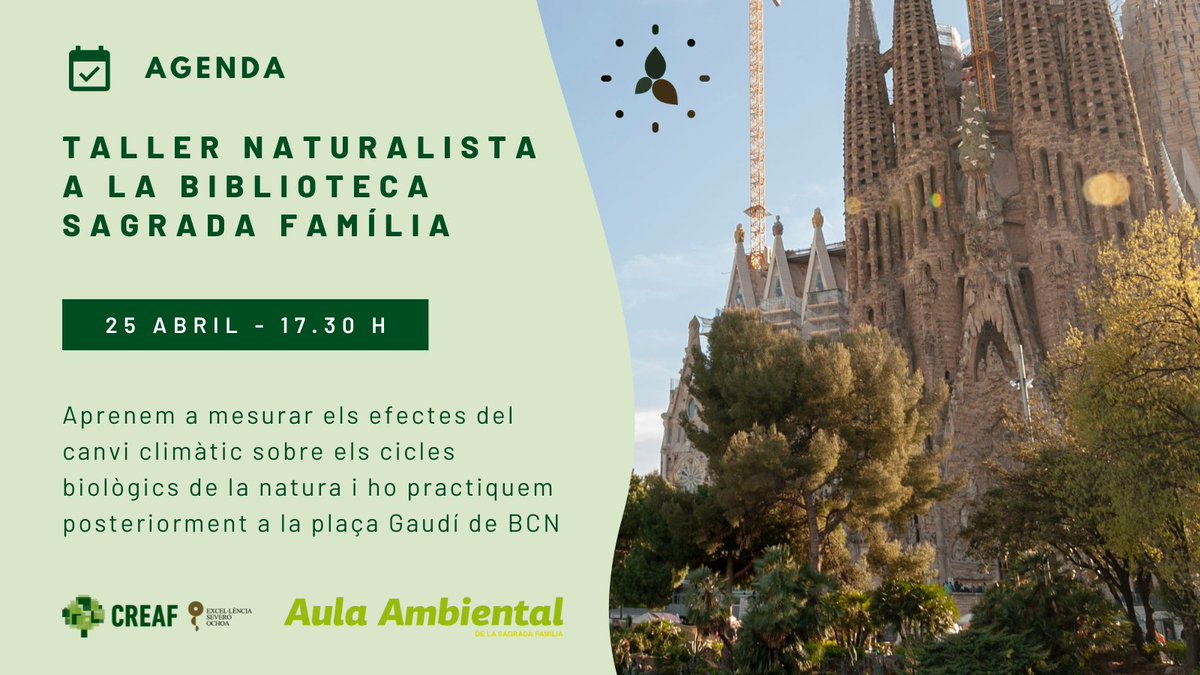 L'@AulaAmbiental Sagrada Família vol ser sentinella dels canvis fenològics a #Barcelona i ajudar-nos així a estudiar els efectes del #canviclimàtic a la ciutat 💚
Acompanya'ns dijous 24 d'abril a la biblioteca del barri on començarem aquest camí plegats 🤝
barcelona.cat/culturapopular…