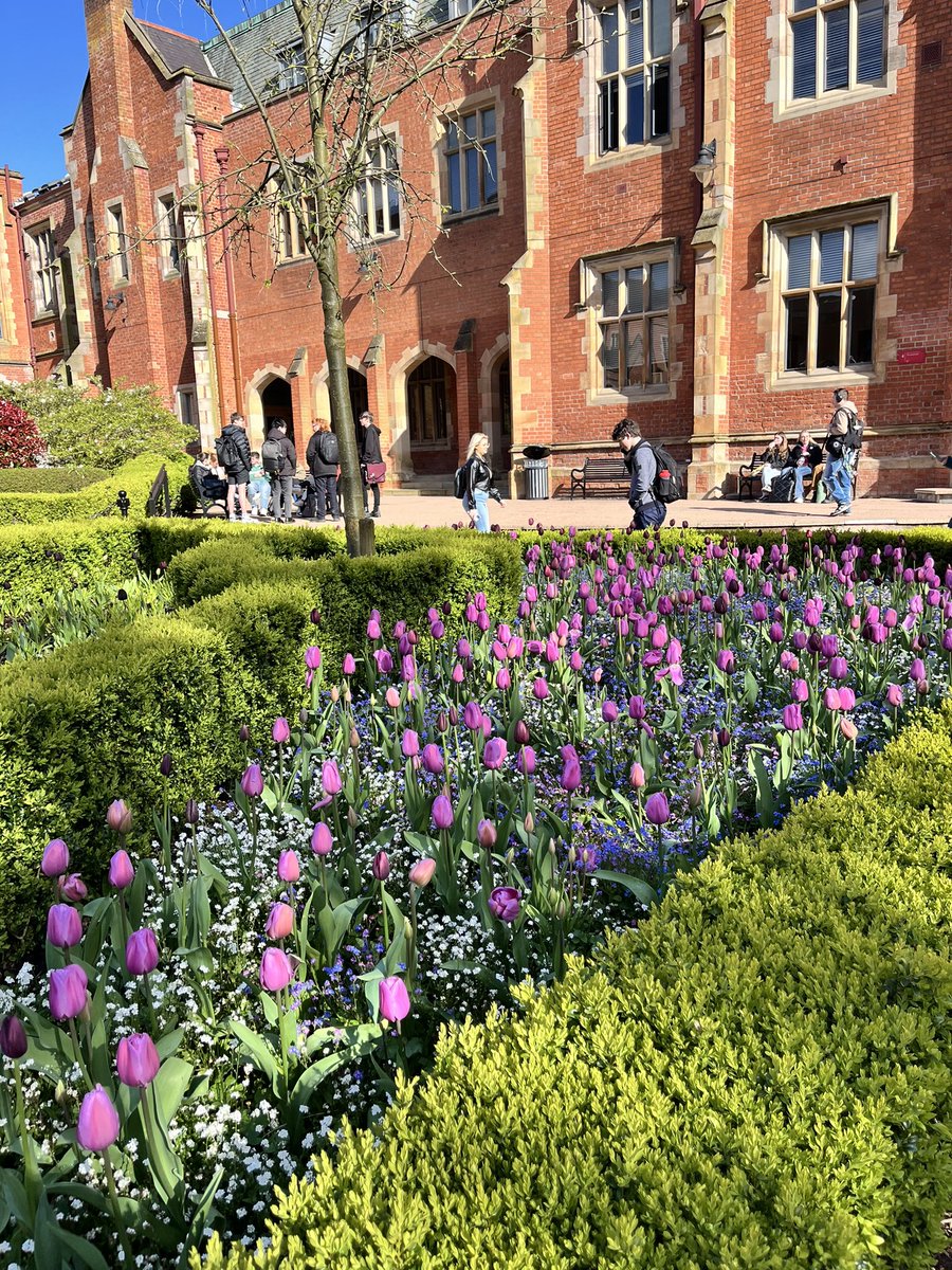 Thanks to the hard work of our Grounds and Gardening Team, campus is in bloom and looking as colourful as ever 🌹🌸🌷🌼🪻 Lanyon Quad and other areas of campus are full of colour, and Spring is finally here (we hope!) #QUBSustainability
