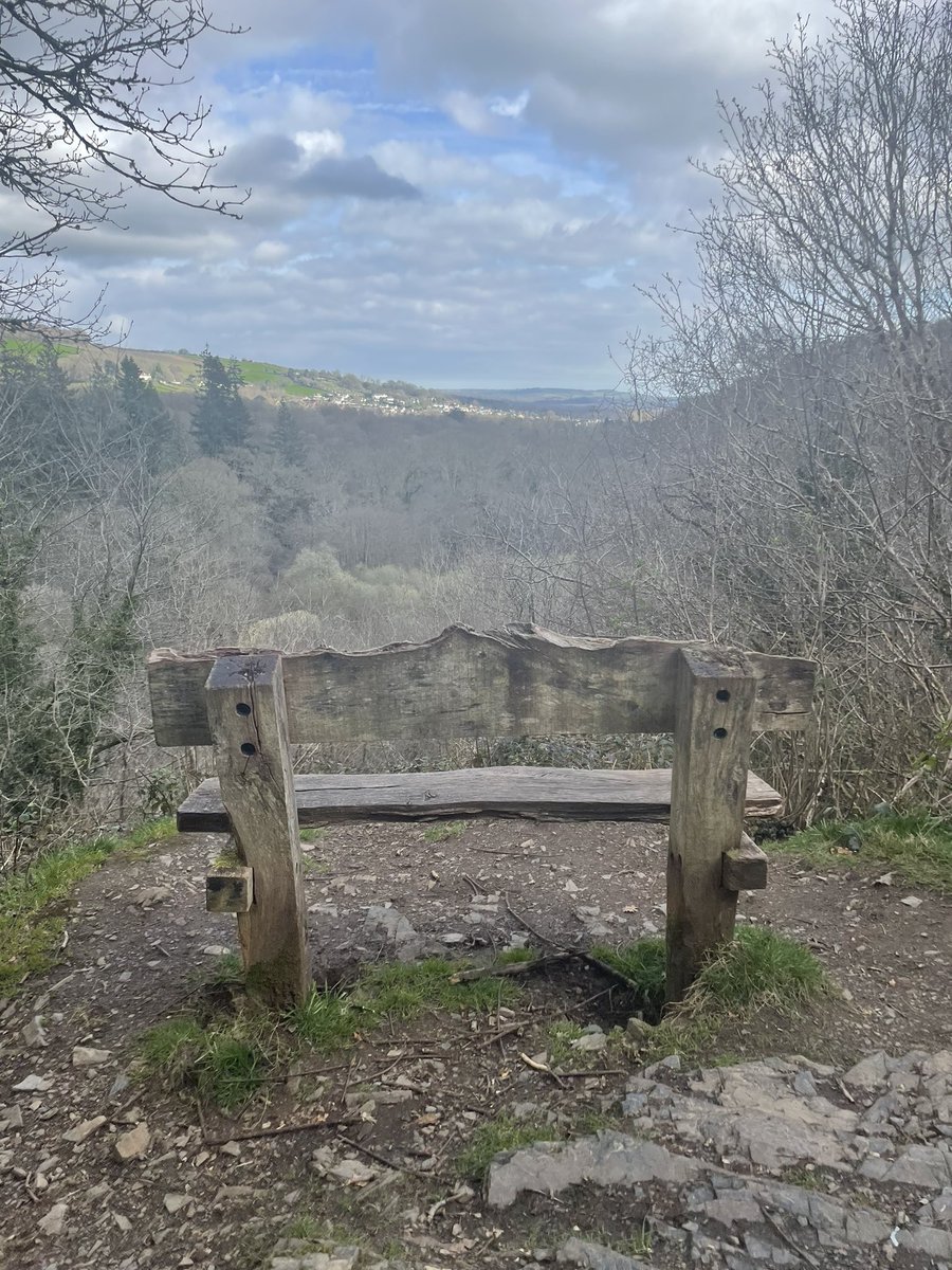 Rosey Oakes tweet media