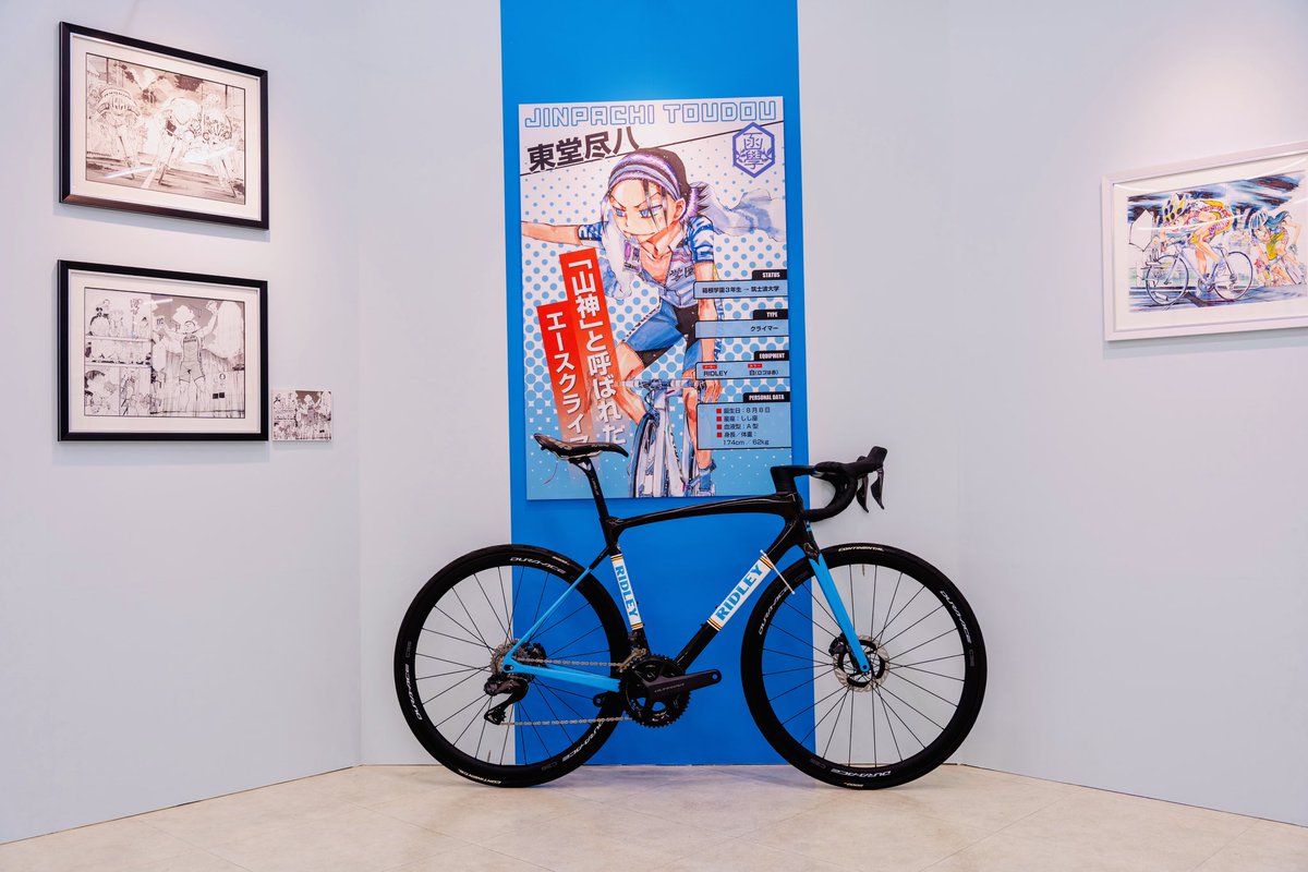 RIDLEY　FENIX　AL　弱虫ペダル　東堂コラボモデル　神奈川　引取限定 美品？ RIDLEY FENIX AL 弱虫ペダル 東堂モデル 神奈川 引取限定