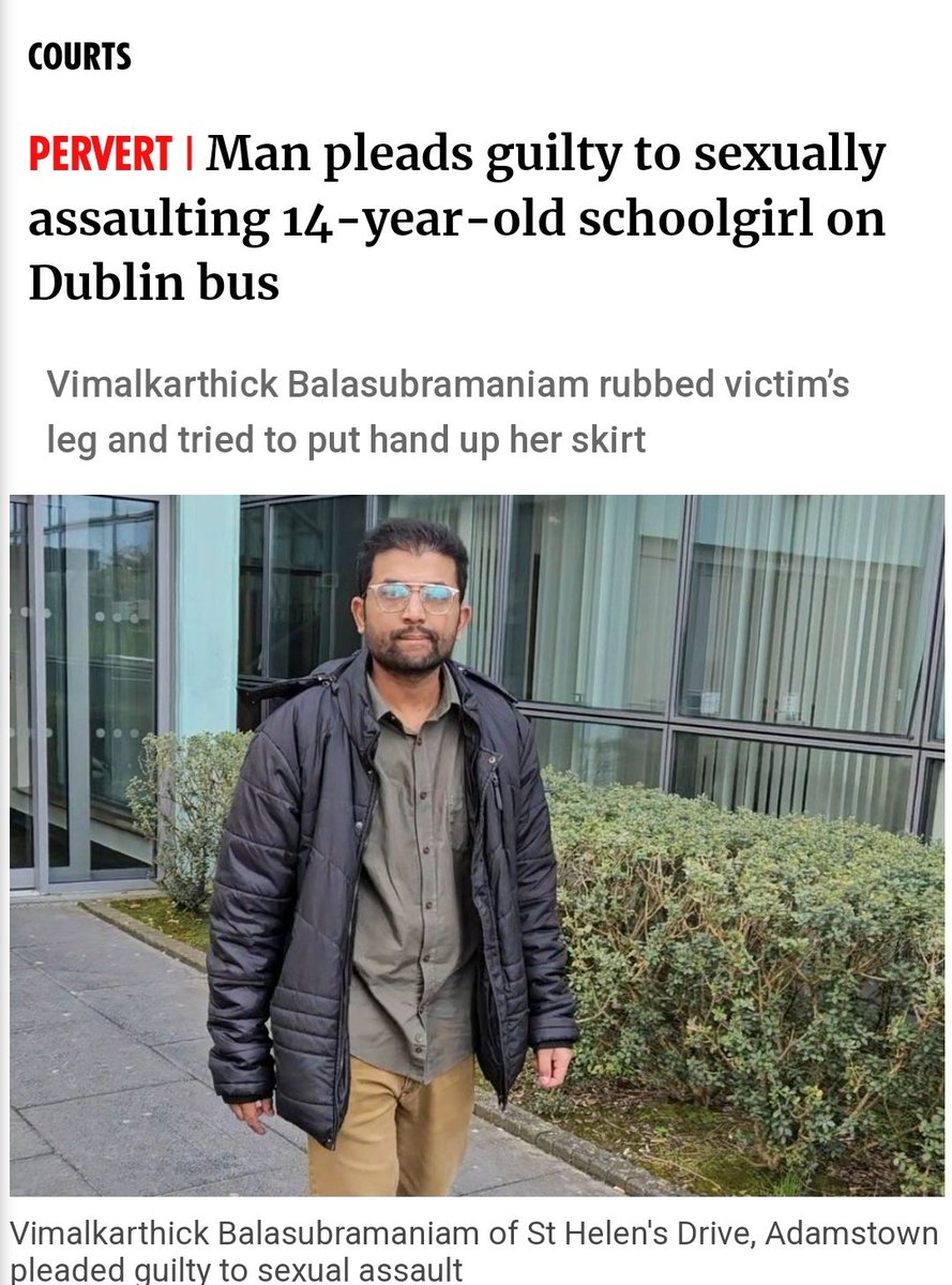 Foreign male pleads guilty to sexual assault of 14 year old Irish schoolgirl. None of these animals should be in Ireland.