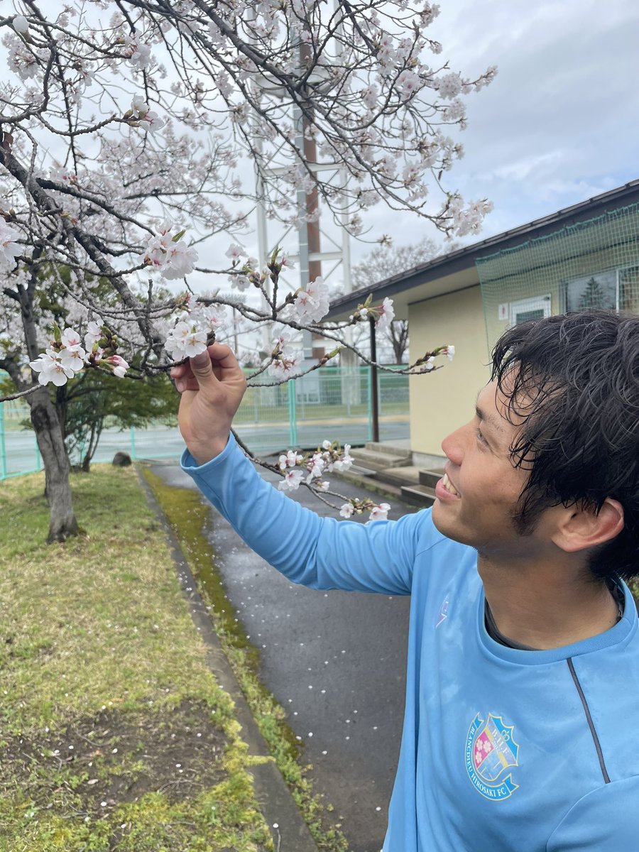 NaritaRyousuke's tweet photo. もうほぼ満開です！
明日はもっとキレイに咲きそうです〜練習行くのが楽しみになります！

本日は繁田を添えて。

いまからヴァンラーレ 応援します〜

#ブランデュー #弘前 #桜 https://t.co/WNddCCiFeH