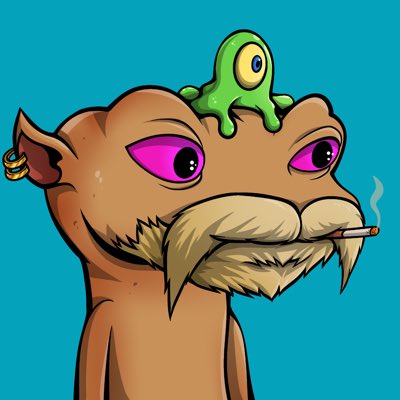 themakingman's tweet photo. #NewProfilePic @snek @SnekkiesNFT loving this snekkie ๐๐๐๐๐๐๐ https://t.co/xHpg34LmGZ