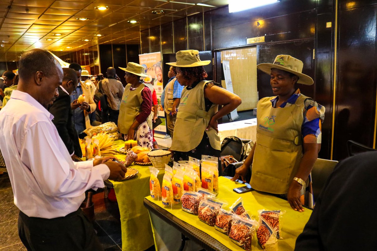 HarvestPlus Zimbabwe tweet media