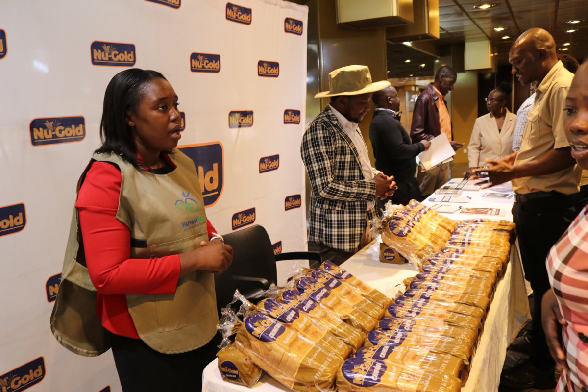 🌾Discover the untapped potential of biofortified crops in Zimbabwe! #HappeningNow Join <a href="/sirpzim/">sirpzim</a> and <a href="/HarvestPlusZim/">HarvestPlus Zimbabwe</a> at the Biofortification Policy Dialogue and unlock opportunities for production, processing, and marketing of these nutritious crops. 🌱💪 #Biofortification #Zim