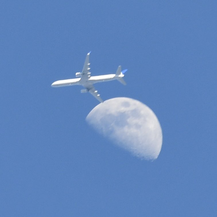 做饭女工 tweet media