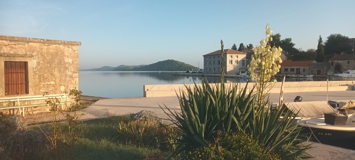 I wrote about the silence of Dugi Otok, its leg-tearing maquis, its rocky shores, its elderly nudists, its feral sheep, the islands of Grandmother's Arse and Great Whore, and the barren Kornati archipelago for @GuardianTravel. #Croatia theguardian.com/travel/2024/ap…