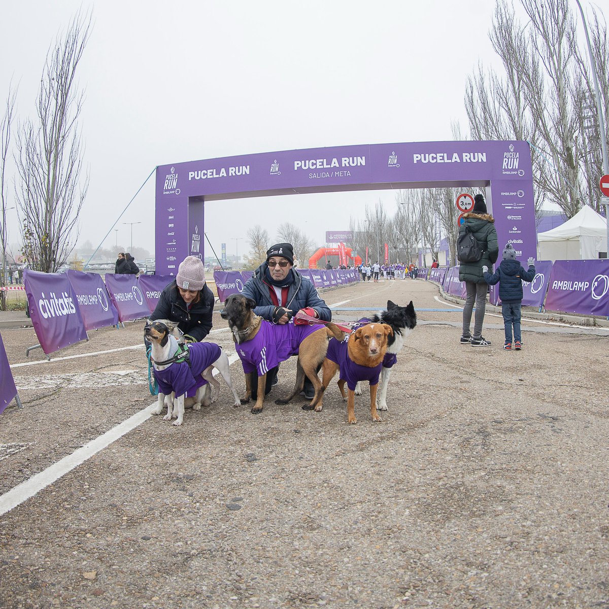 Ellos 🐶 tampoco se quisieron perder la Pucela Run 💜