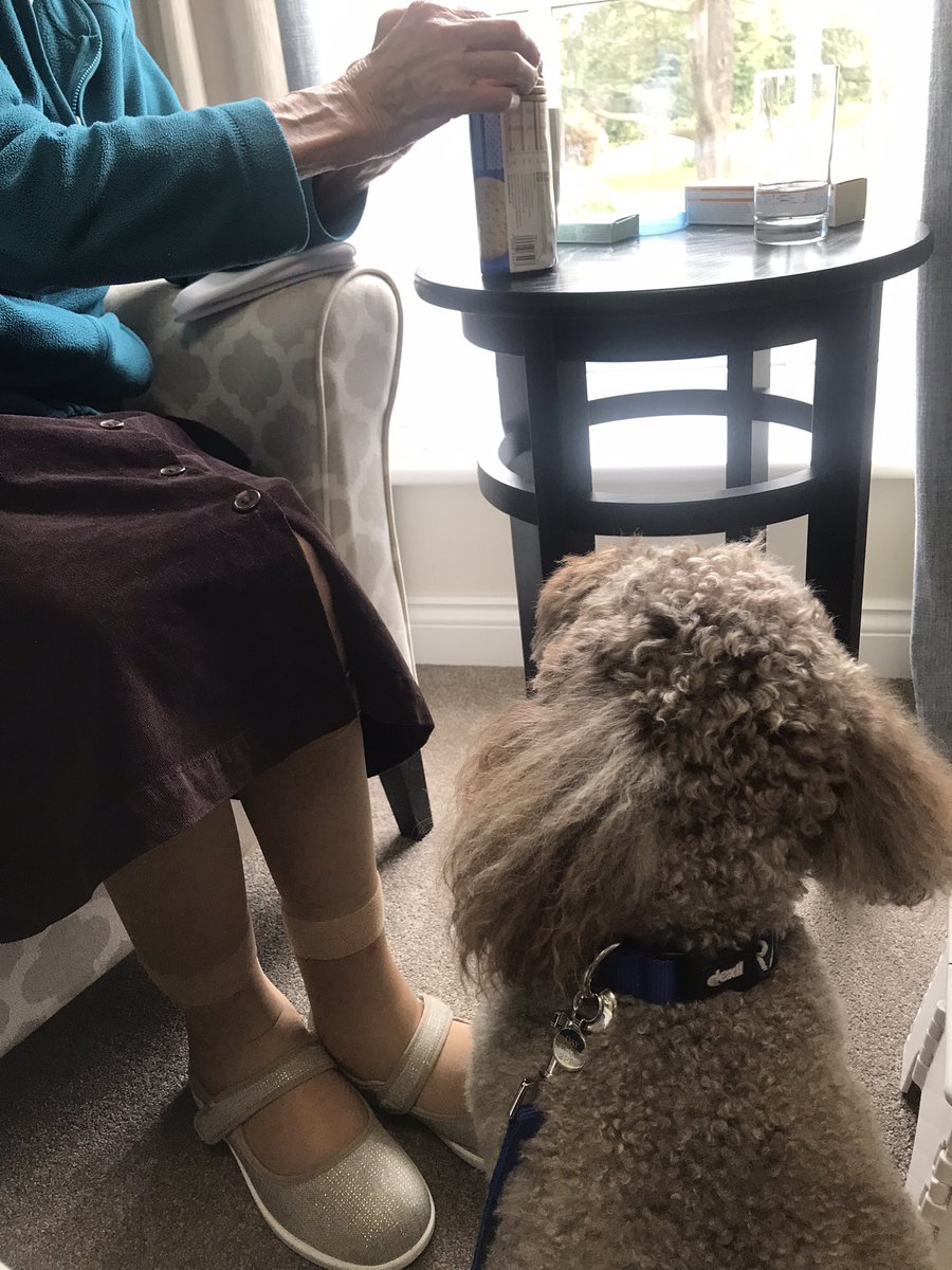 LouDay100's tweet photo. Lovely lady at the local Care Home opening a packet of Rich Tea biscuits for Maple. Besties 💙 @essextherapydog #therapy #pet #love https://t.co/7UqKCCoWwR