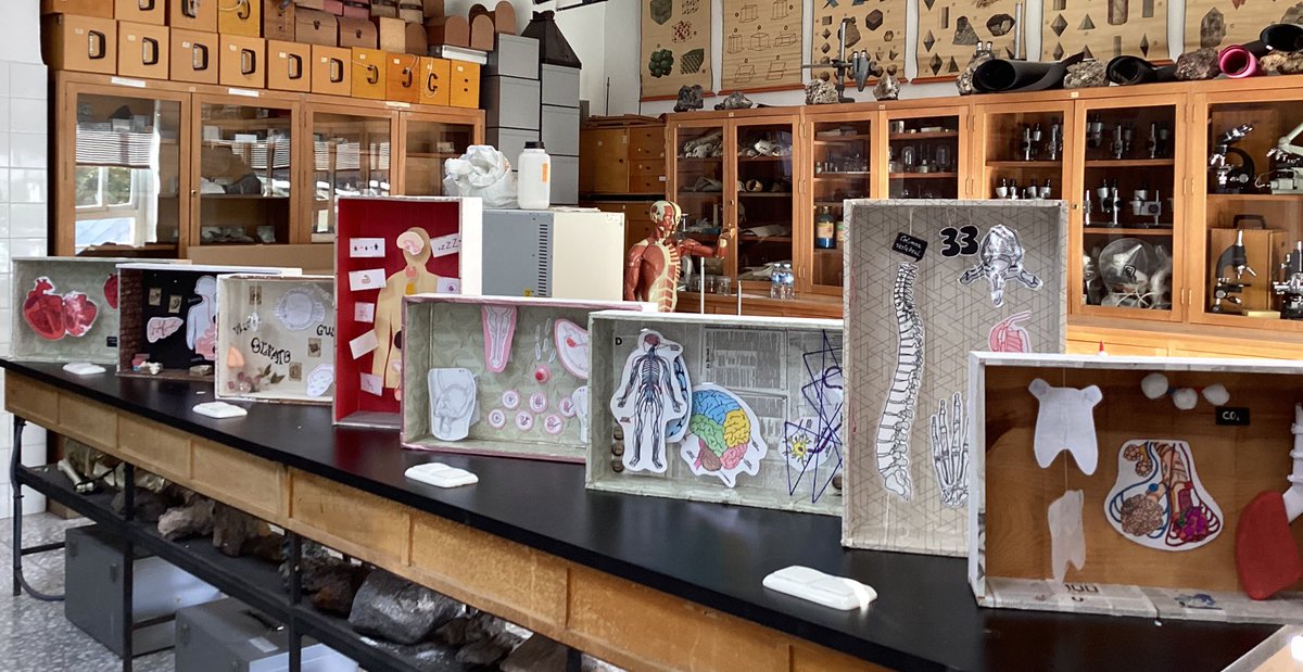 Ana Guirao tweet media