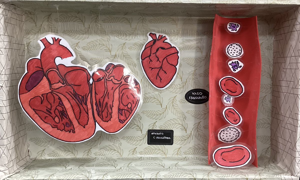 Ana Guirao tweet media