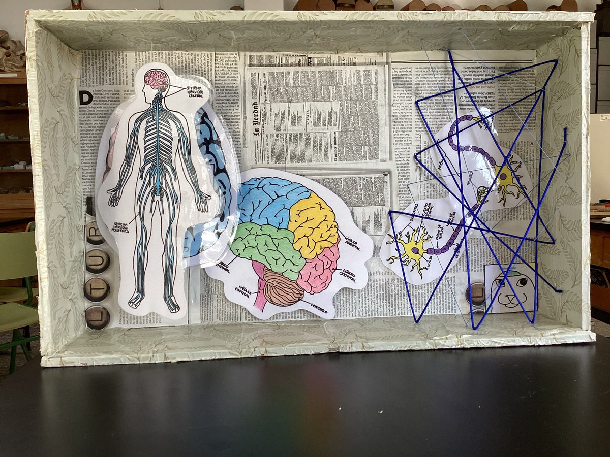 Ana Guirao tweet media