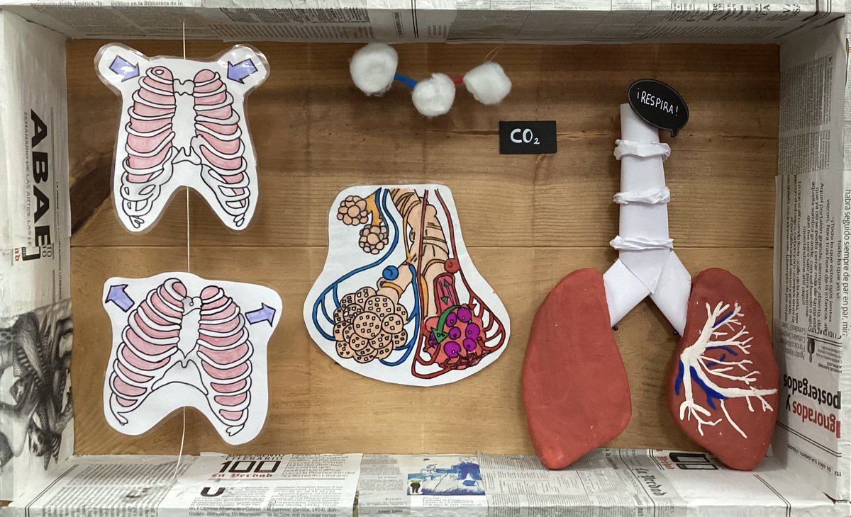 Ana Guirao tweet media