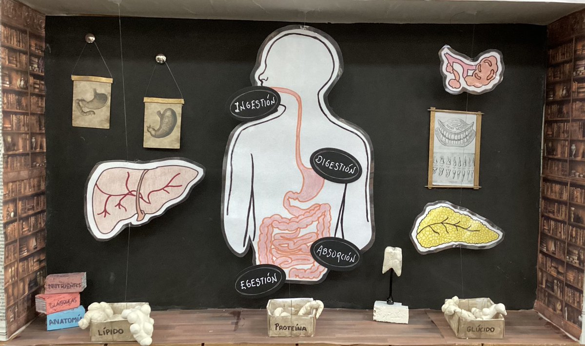 Ana Guirao tweet media