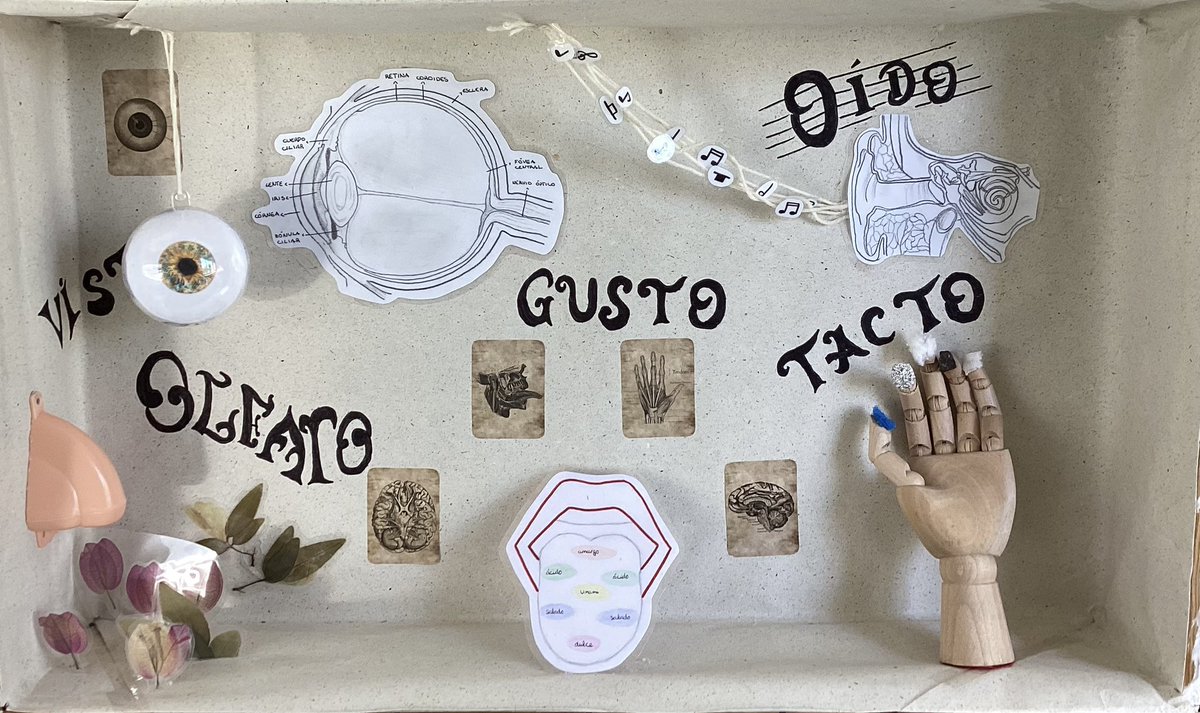 Ana Guirao tweet media