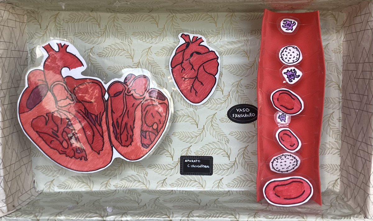 Ana Guirao tweet media