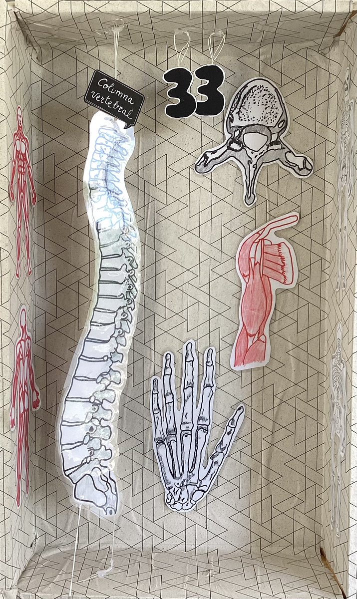 Ana Guirao tweet media