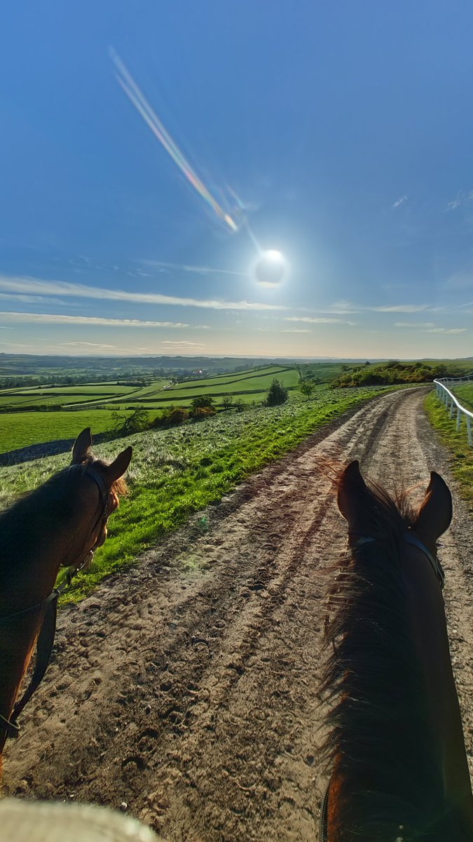 Gorgeous morning on the gallops @BenHaslamRacing with my @yorkracecourse ride 🏇 The #Countdown is on for the @macmillancancer #charity Race of their lives! justgiving.com/page/alice-mcc… #HorseRacing #YORKSHIRE 🏇💚