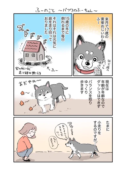 パフワのふーちゃんのお話🐶老犬は可愛い。こいぬの時もおじいわんの今も最強に可愛いです。
漫画の下描きいっぱいたまってるのでちょこちょこ描いていきます 
